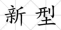 新型