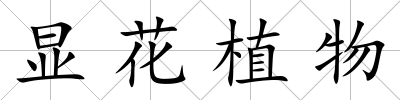 顯花植物