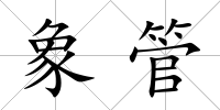 象管