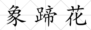 象蹄花