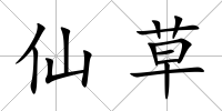 仙草
