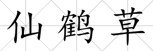 仙鶴草