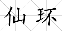 仙環(huán)