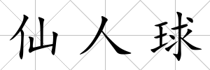 仙人球