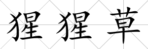 猩猩草