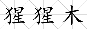 猩猩木