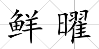 鮮曜