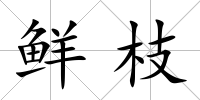 鮮枝