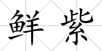 鮮紫