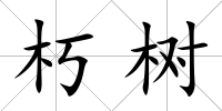 朽樹