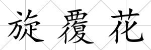 旋覆花