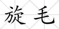 旋毛