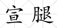 宣腿