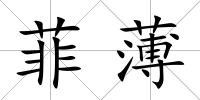 菲薄