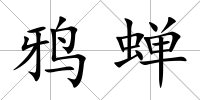 鴉蟬