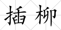 插柳