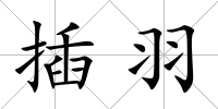 插羽