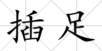 插足