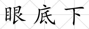 眼底下