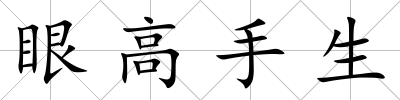 眼高手生