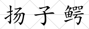 揚子鱷