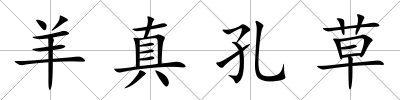 羊真孔草