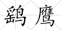 鷂鷹
