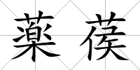 薬葔
