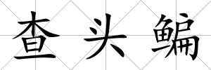 查頭鳊