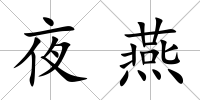 夜燕