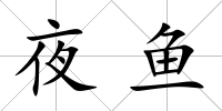 夜魚
