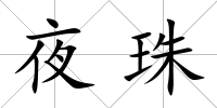 夜珠