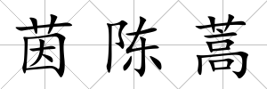茵陳蒿