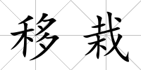 移栽