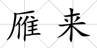 雁來