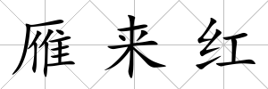 雁來紅