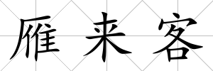 雁來客