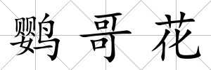 鸚哥花