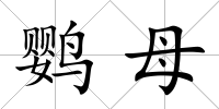 鸚母