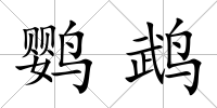 鸚鵡
