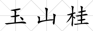 玉山桂