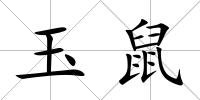 玉鼠