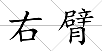 右臂