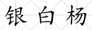 銀白楊