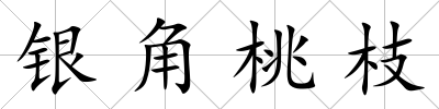 銀角桃枝