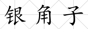 銀角子
