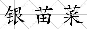 銀苗菜