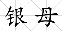 銀母