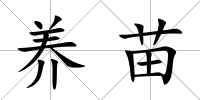 養苗