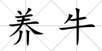 養(yǎng)牛